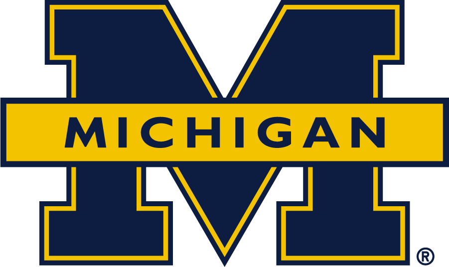 Michigan Wolverines 2016-Pres Secondary Logo v2 diy DTF decal sticker